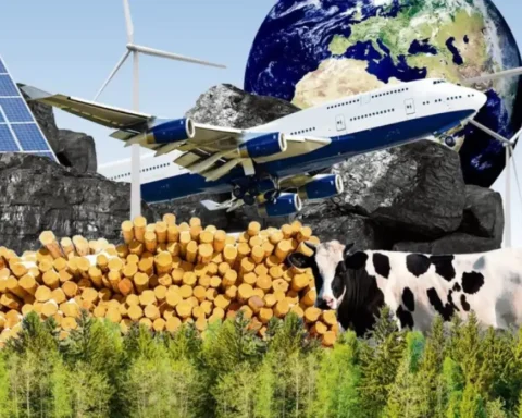 YouGov 2 in 3 Britons put cheap energy above net zero