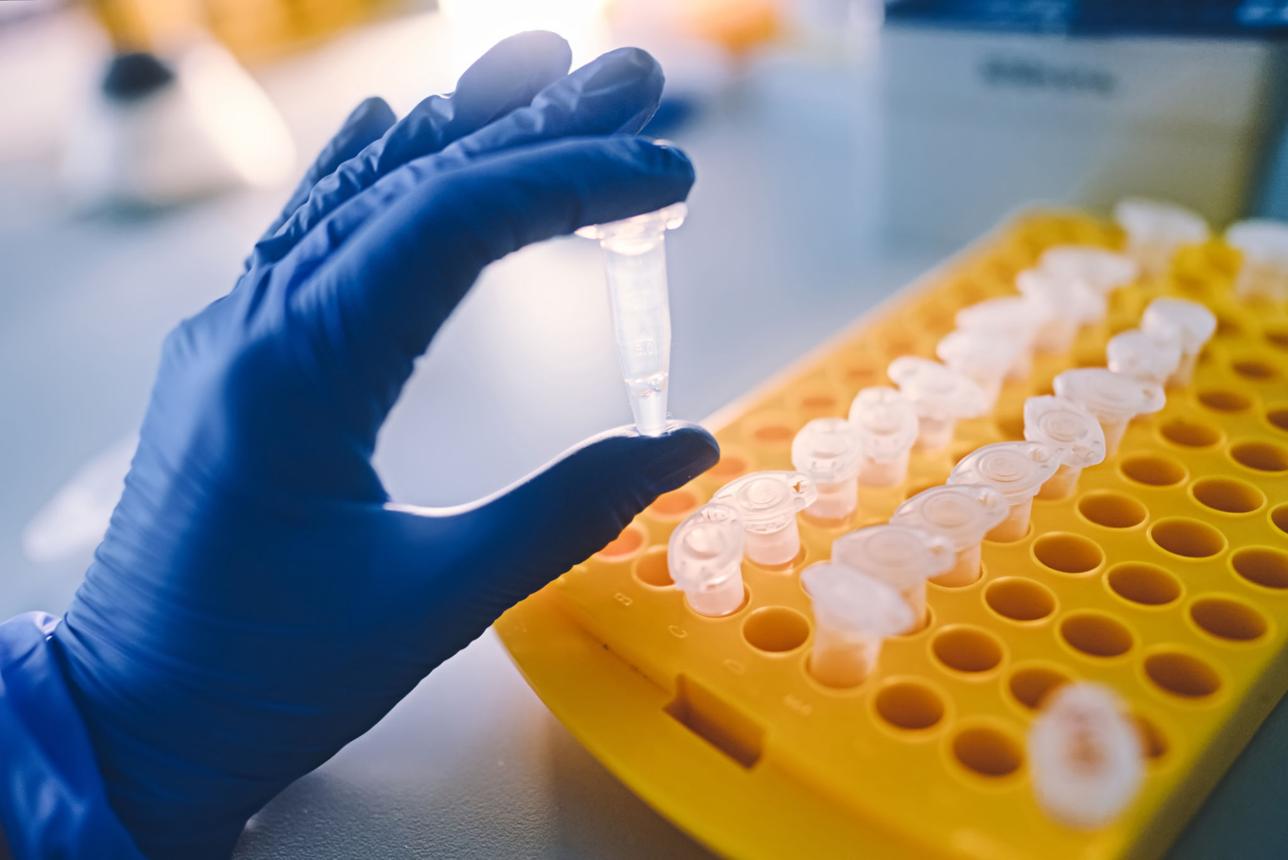 Suspected Hantavirus Cases Raise Global Health Concerns in Spain and Tristan da Cunha 2026 5 Spain hantavirus monitoring laboratory conducting infectious disease testing