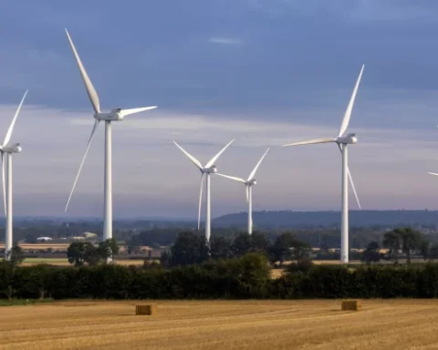 UK drops plan for energy zonal pricing