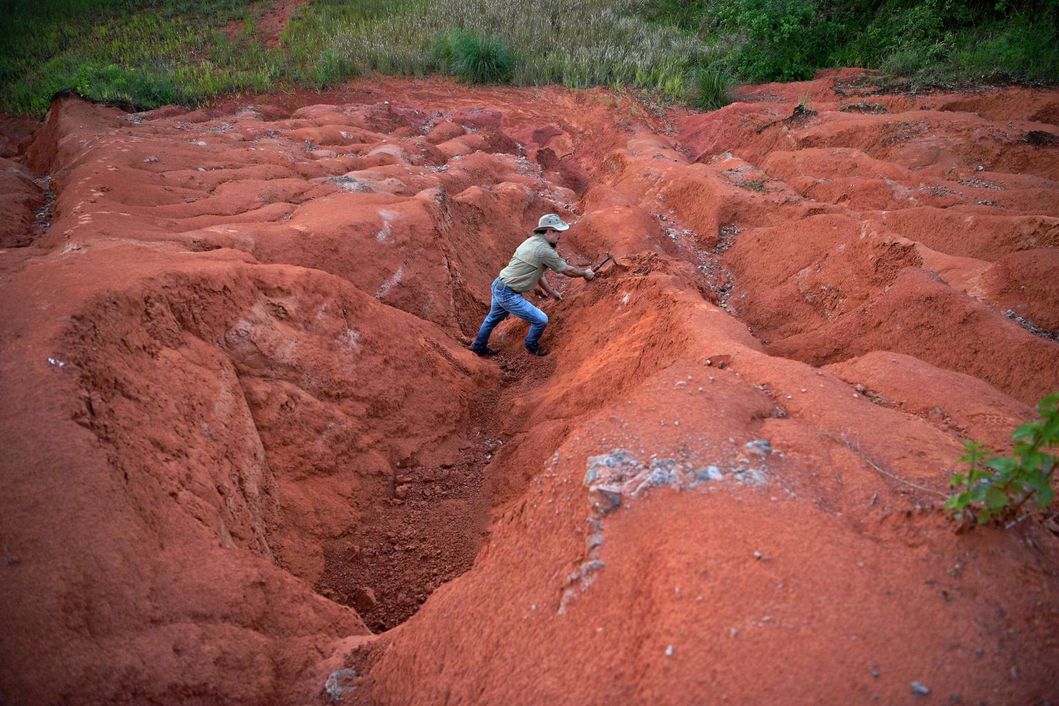 Paleontologists carefully excavating Brazil dinosaur fossils at a prehistoric dig site