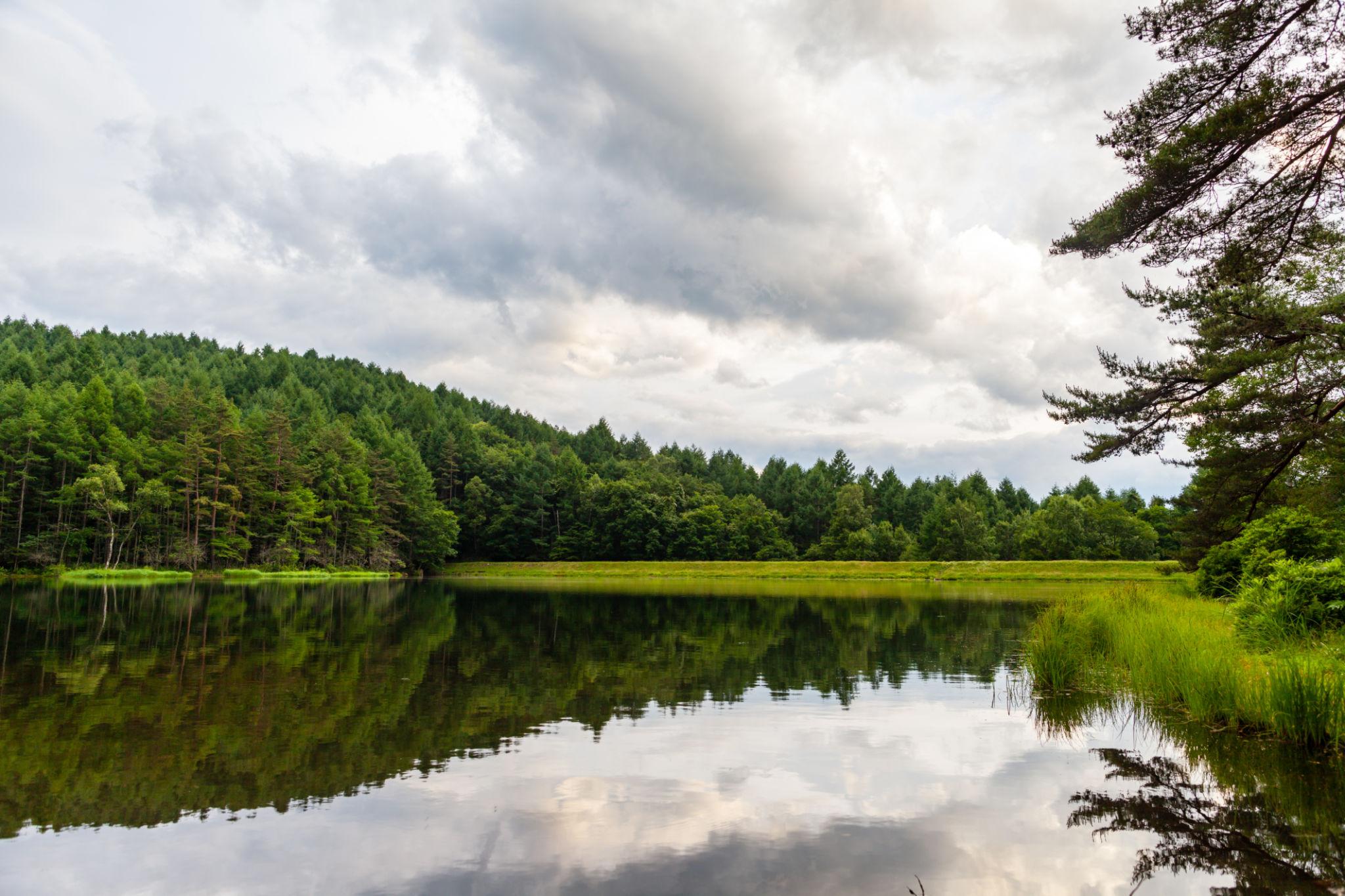 Seismic Monitoring Japan Detects Magnitude 5 Nagano Earthquake 1 seismic monitoring Japan Nagano mountainous earthquake region