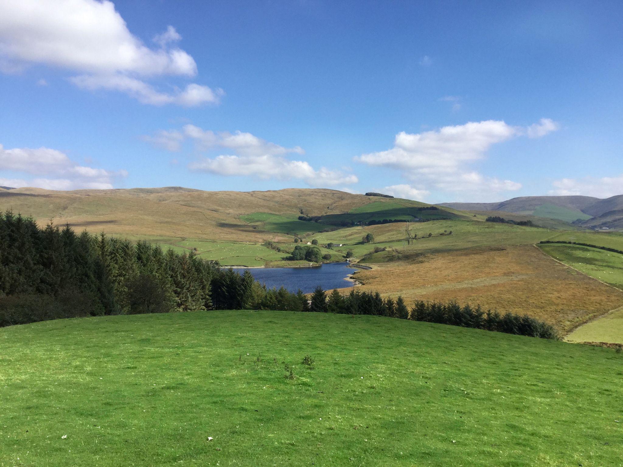 Wales Rewilding Drives Biodiversity Revival Cardiff 2026 3 Wales rewilding regenerating native woodland