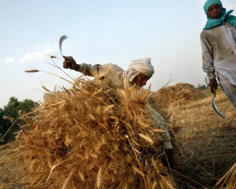 global wheat supply outlook grain storage silos supply chain reserves