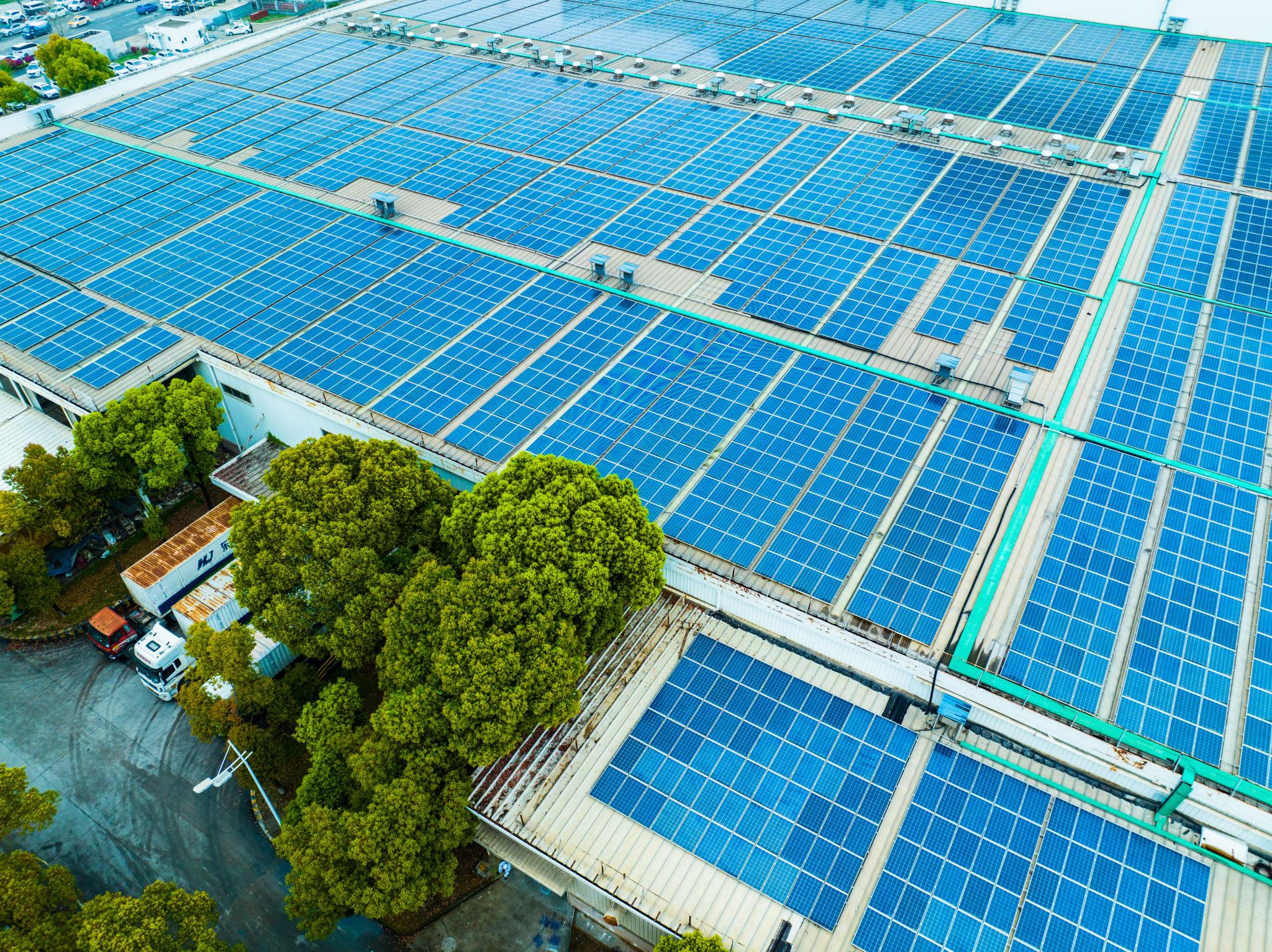 Renewable Energy Surges Globally as Investment Hits New High Brussels 2026 3 renewable energy expansion driven by large-scale solar farm projects in 2026