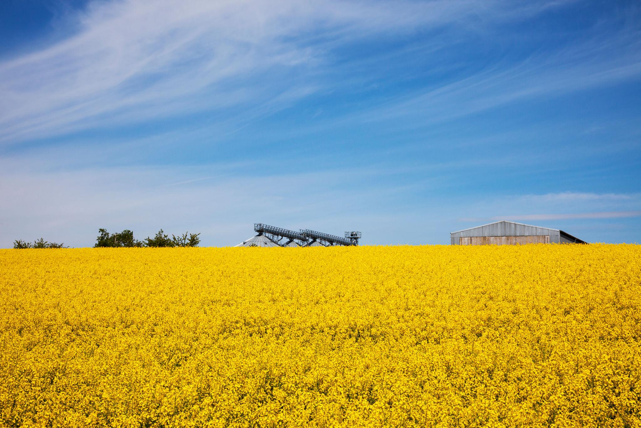 Australia energy security news driven by renewable feedstock production for biodiesel